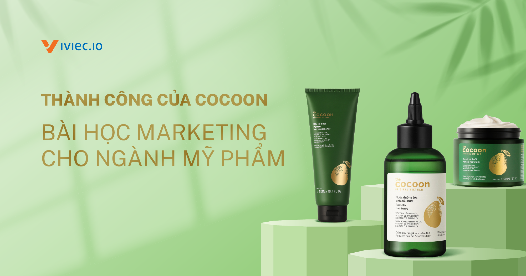 Case study: Chiến lược Marketing Cocoon Việt Nam
